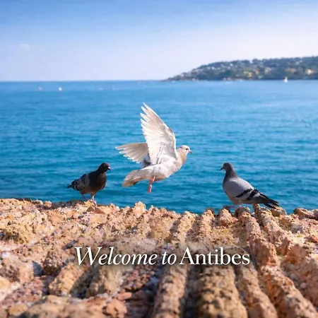 Old Town With Ac 320m From * Antibes