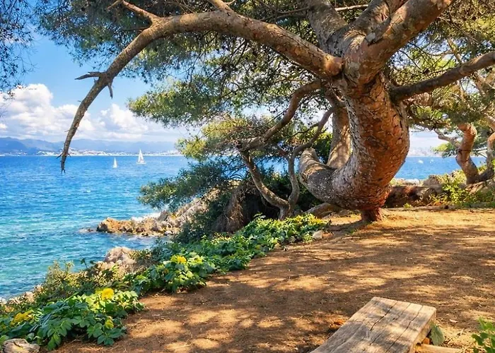 Old Town With Ac 320m From *