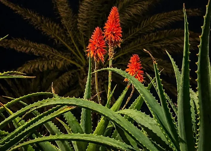 Old Town With Ac 320m From *