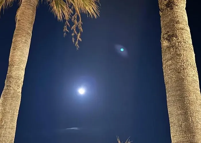 Old Town With Ac 320m From *