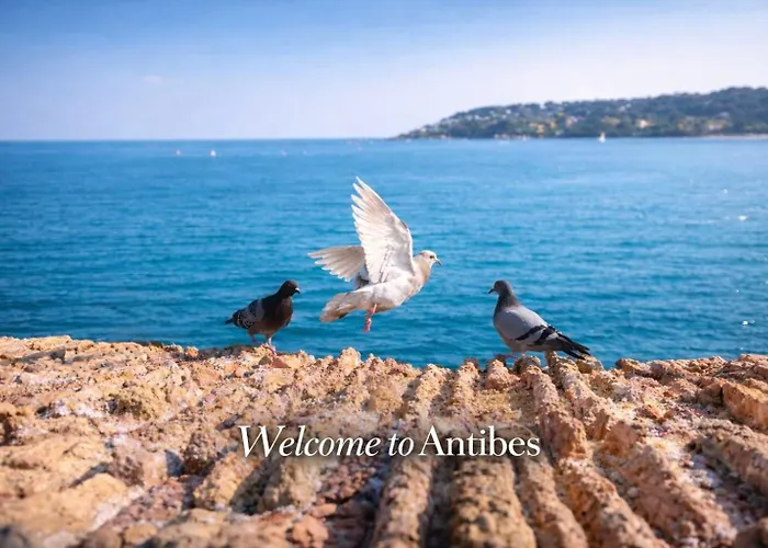 Old Town With Ac 320m From * Antibes